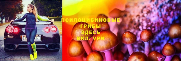 шишки Алексин